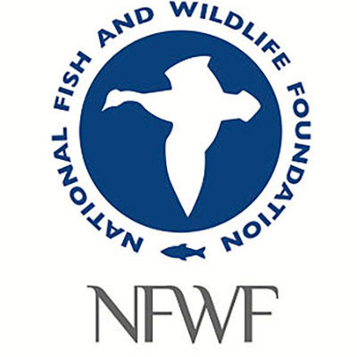 National_Fish_and_Wildlife_Foundation_Logoweb