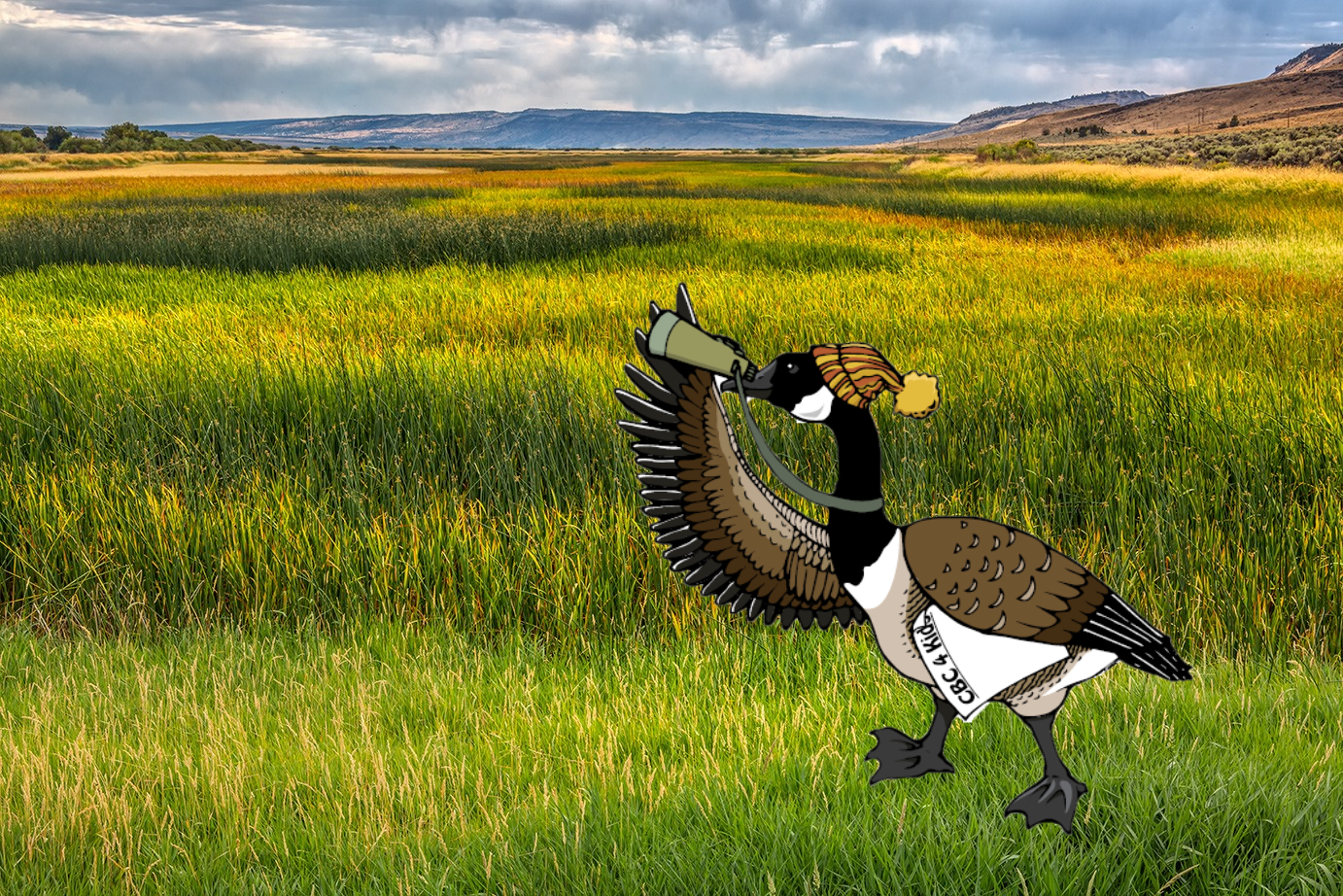 Cartoon Goose looks through binoculars across Blitzen Valley Meadow