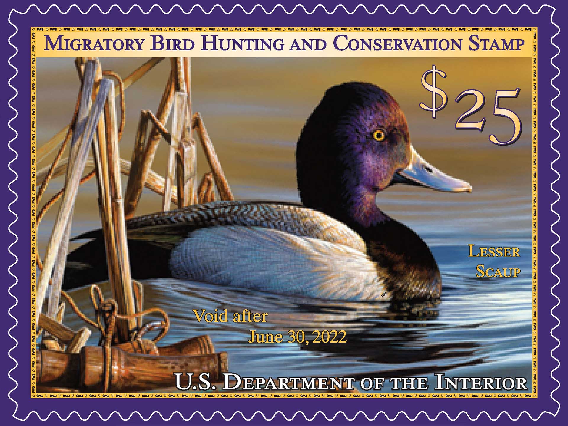 2021-2022 USFW Federal Duck Stamp