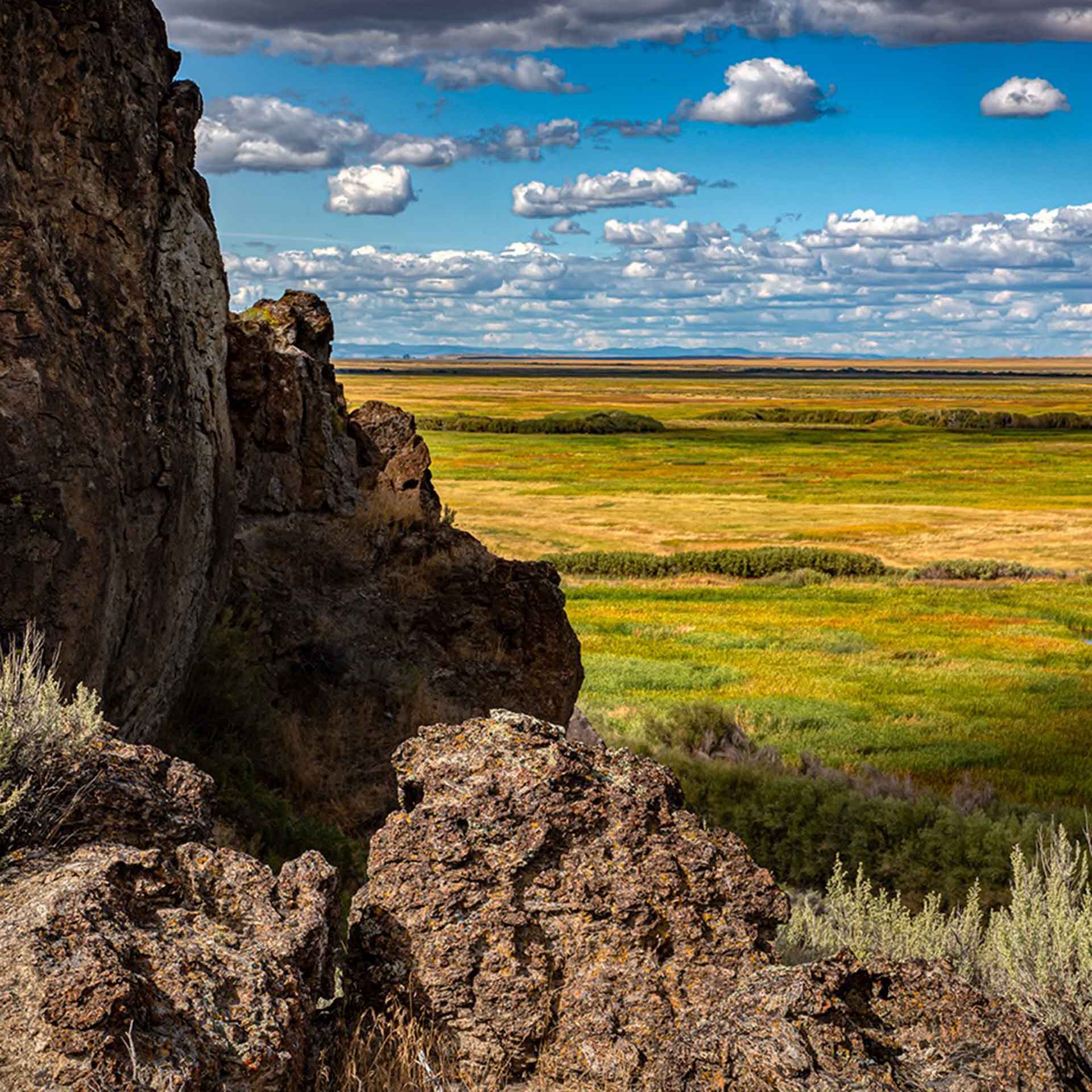 Buena Vista Overlook - Photo by Alan Nyiri