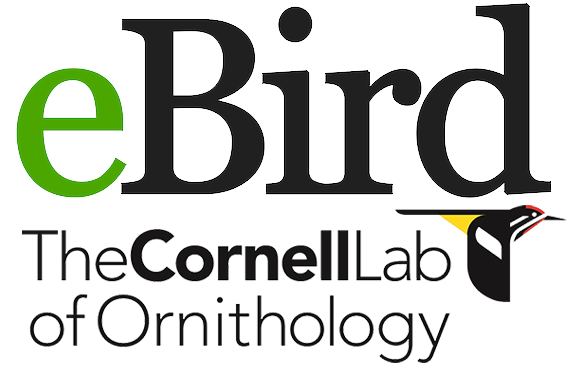 Ebird The Cornel Lab Of Ornithology