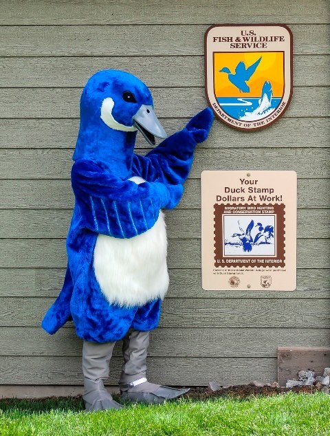 A person wearing a blue goose costume is pointing at the Fish and Wildlife Service emblem on the side of a building. The emblem is a shield with a fish jumping out of water and a goose flying overhead with a yellow and golden sun and sky in the background.