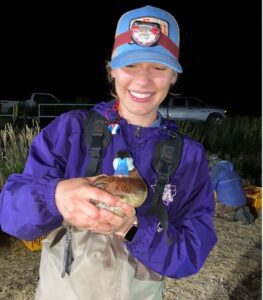 Young biologist wearing a headlamp and chest waders holding a male ruddy duck. The duck has a bright blue bill.