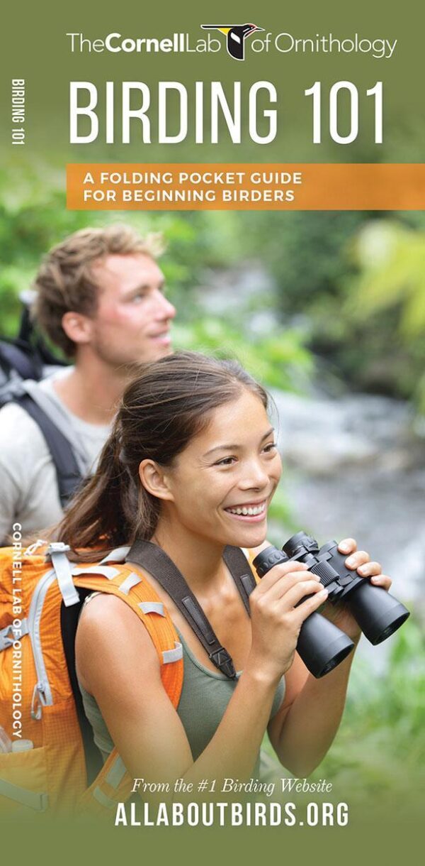 Birding 101: A Folding Pocket Guide for Beginning Birders