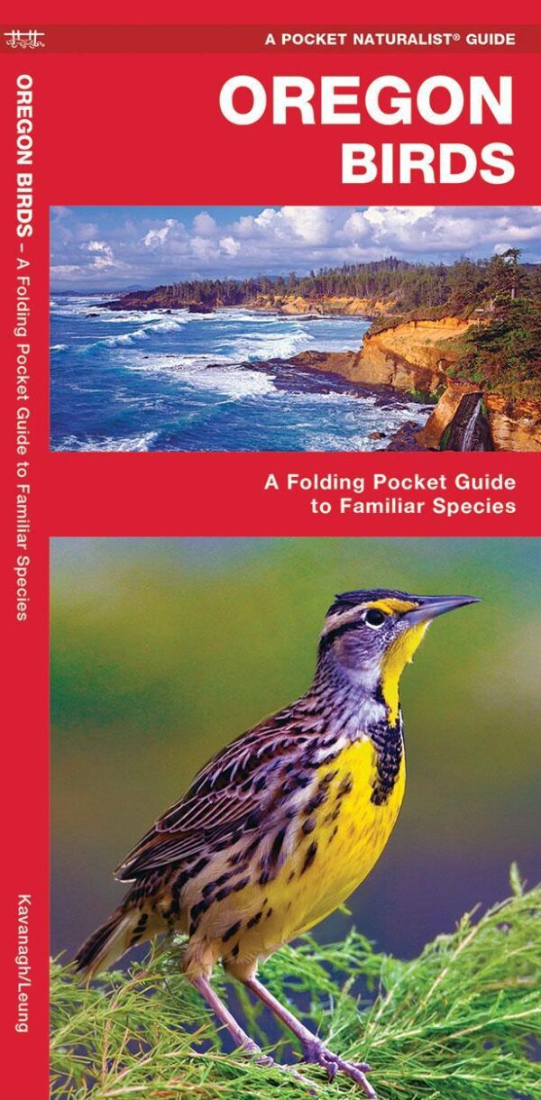 Oregon Birds: A Folding Pocket Guide to Familiar Species