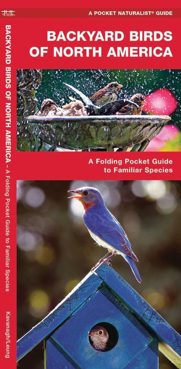 Backyard Birds of North America: A Folding Pocket Guide to Familiar Species