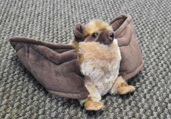 WR-Little Brown Bat