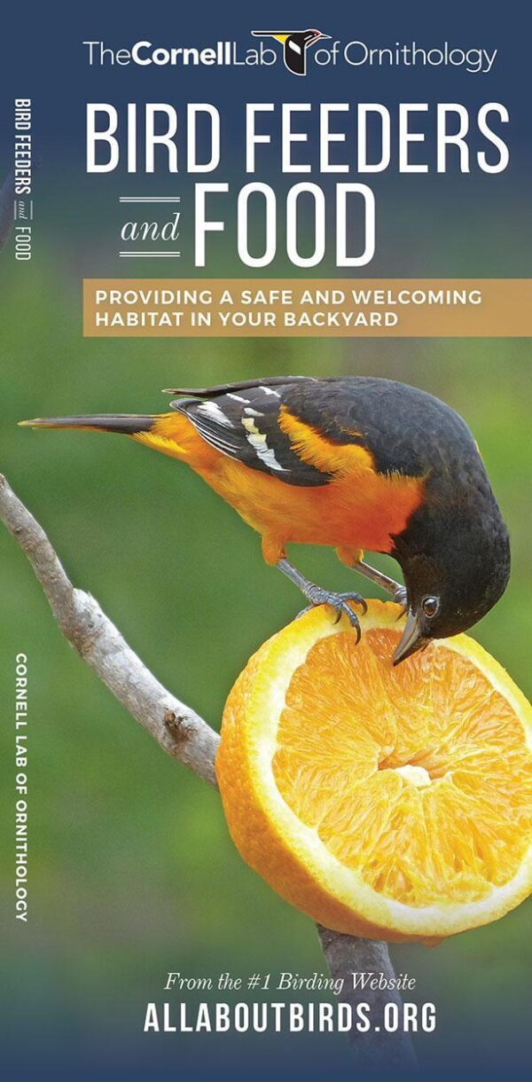 Bird Feeders and Food: A Folding Pocket Guide to Providing a Safe and Welcoming Habitat in Your Backyard