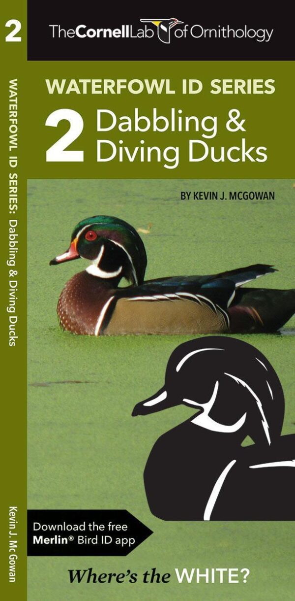 Waterfowl ID Series: 2 Dabbling & Diving Ducks (A Folding Pocket Guide)