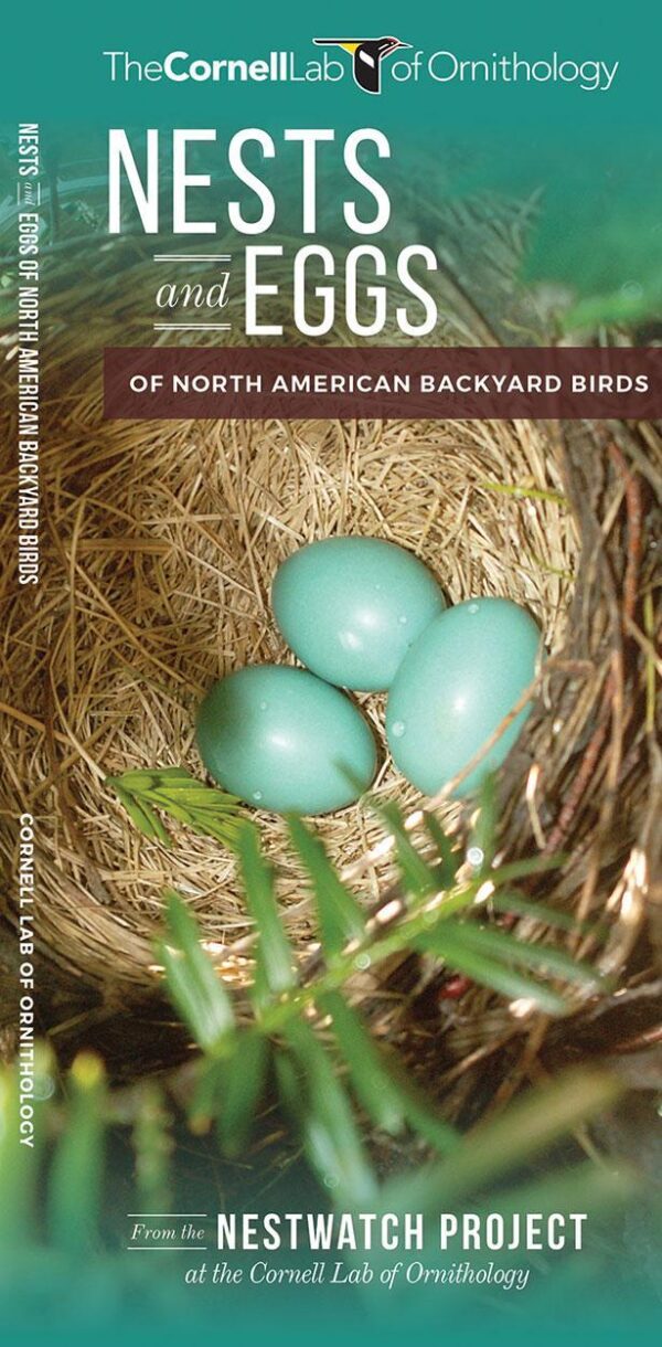 Nests and Eggs of North American Backyard Birds: A Folding Pocket Guide