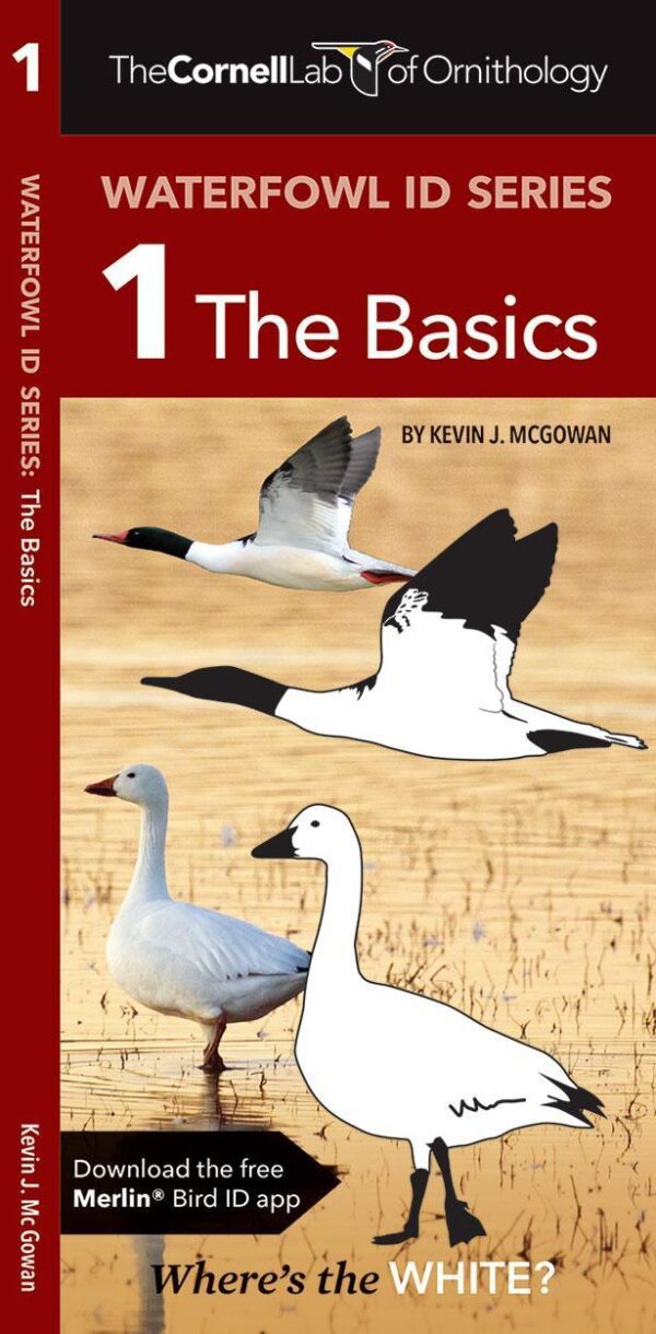 Waterfowl ID Series: 1 The Basics (A Folding Pocket Guide)