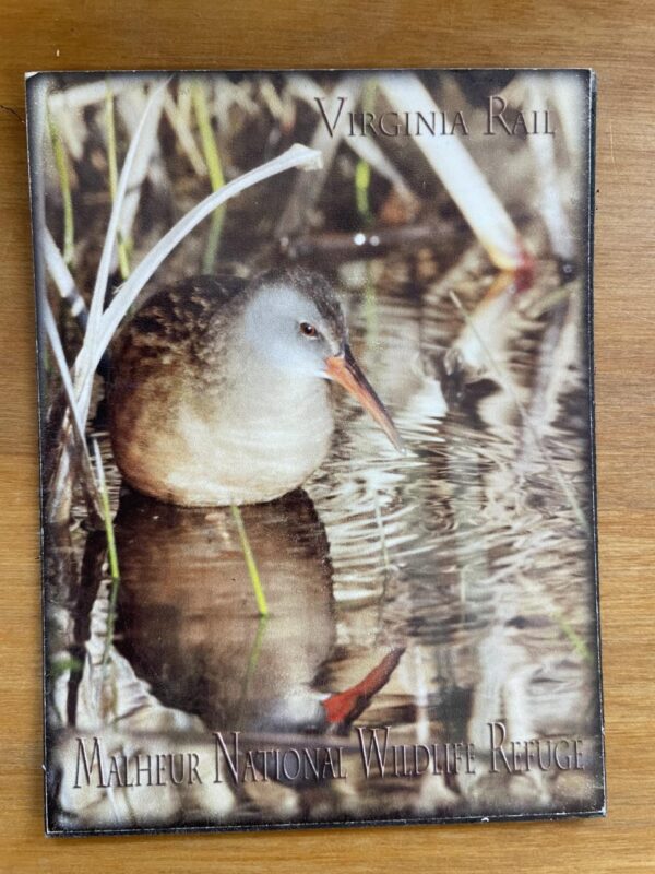 Virginia Rail