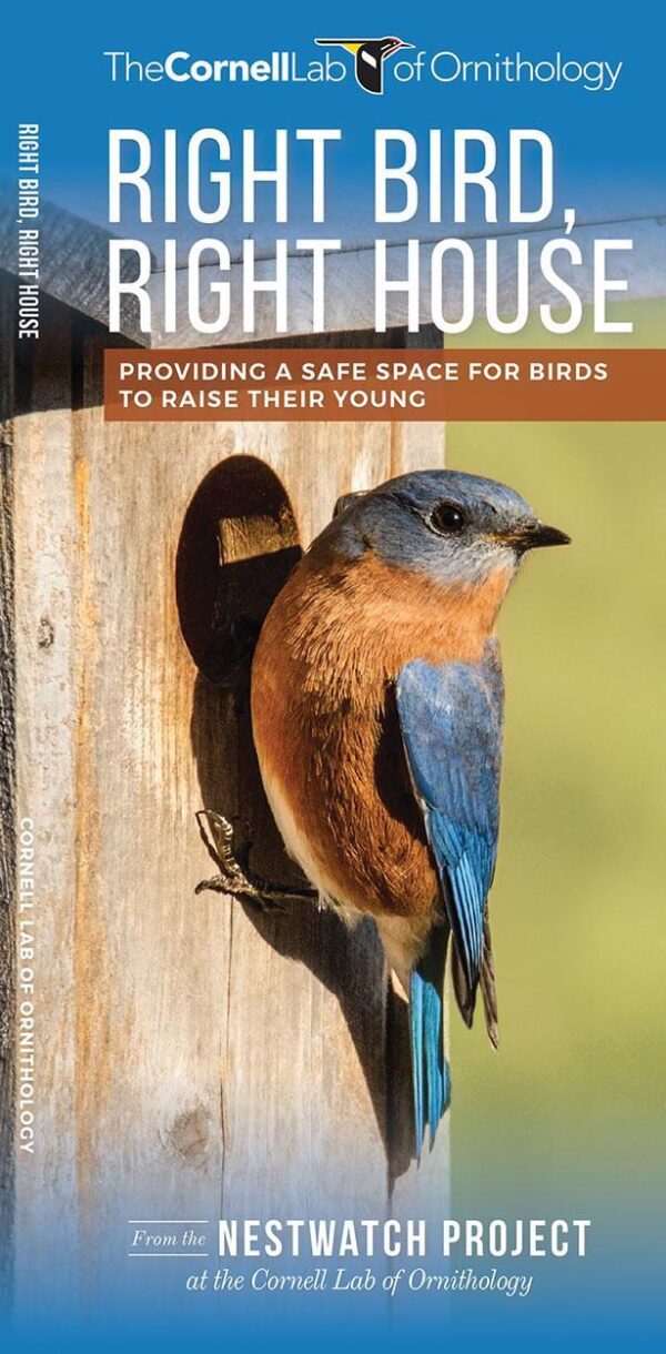 Right Bird, Right House: A Folding Pocket Guide for Providing a Safe Space for Birds to Raise Their Young