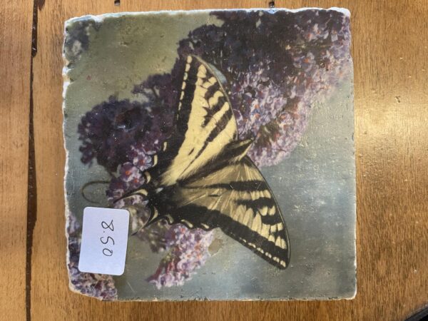 Tile Coaster-Swallowtail Butterfly