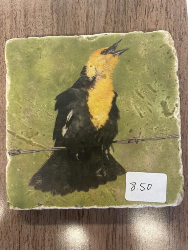 Tile Coaster-Yellow-headed Blackbird