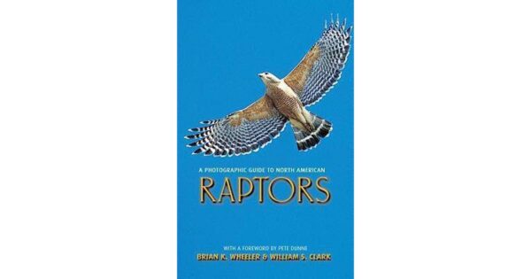 A Photographic Guide to North American Raptors