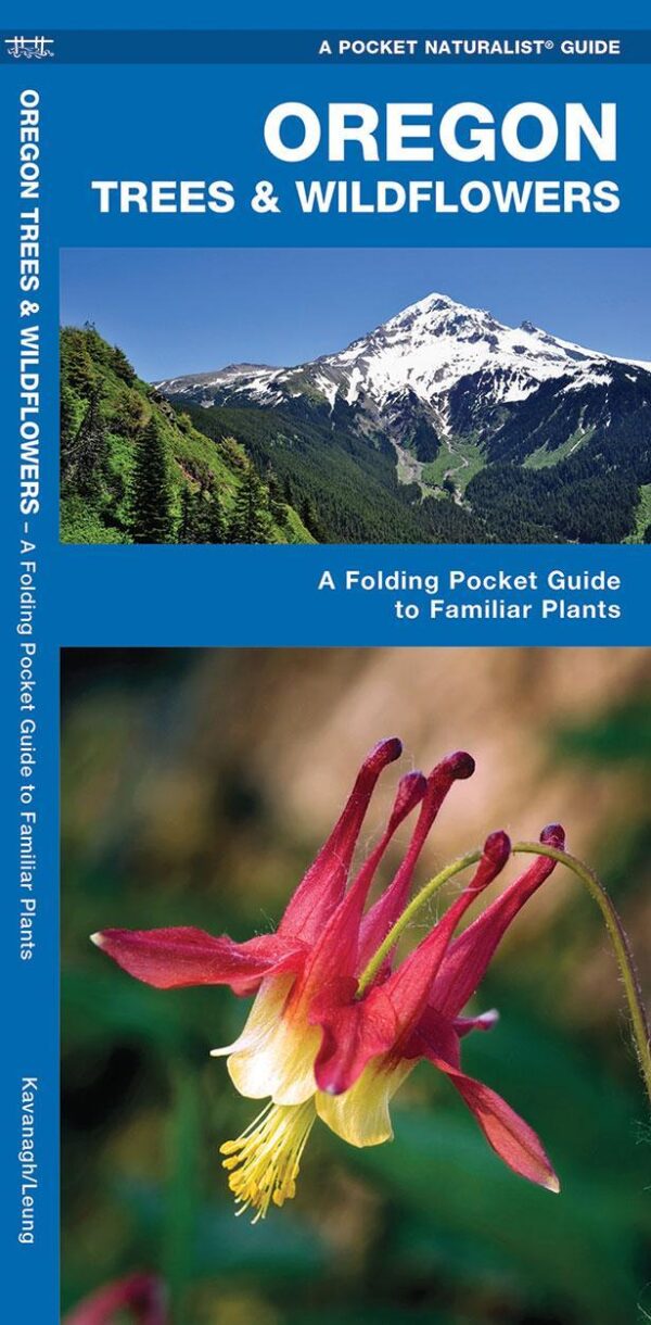 Oregon Trees & Wildflowers: A Folding Pocket Guide to Familiar Plants