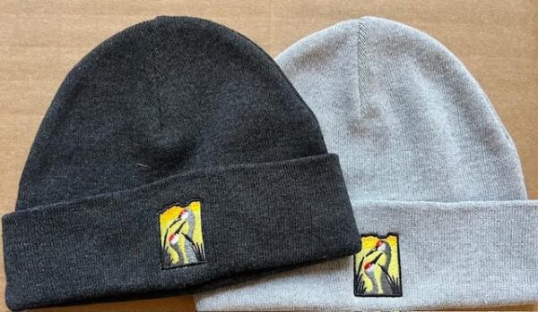 FOMR Logo Beanie