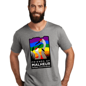 PRIDE w/ FRIENDS Tee - Grey