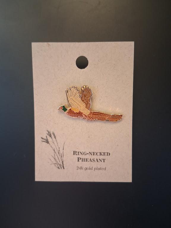 Ring-Necked Pheasant - Friends of Malheur NWR