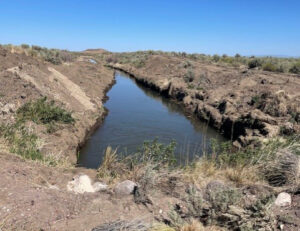 Image showing irrigation ditch at Canoe Takeout