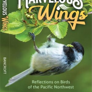Marvelous Wings by Thomas Bancroft
