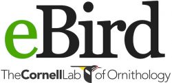 Ebird The Cornel Lab Of Ornithology